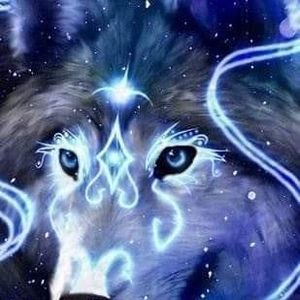 Meet your Posher, Rhonda